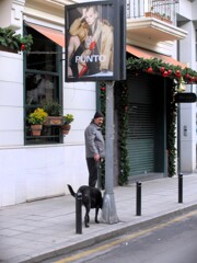 飼い犬＝飼い主の社会的アイデンティティの1部…とか