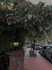 さよなら…　今までありがと…～