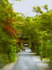 市中の山居～～