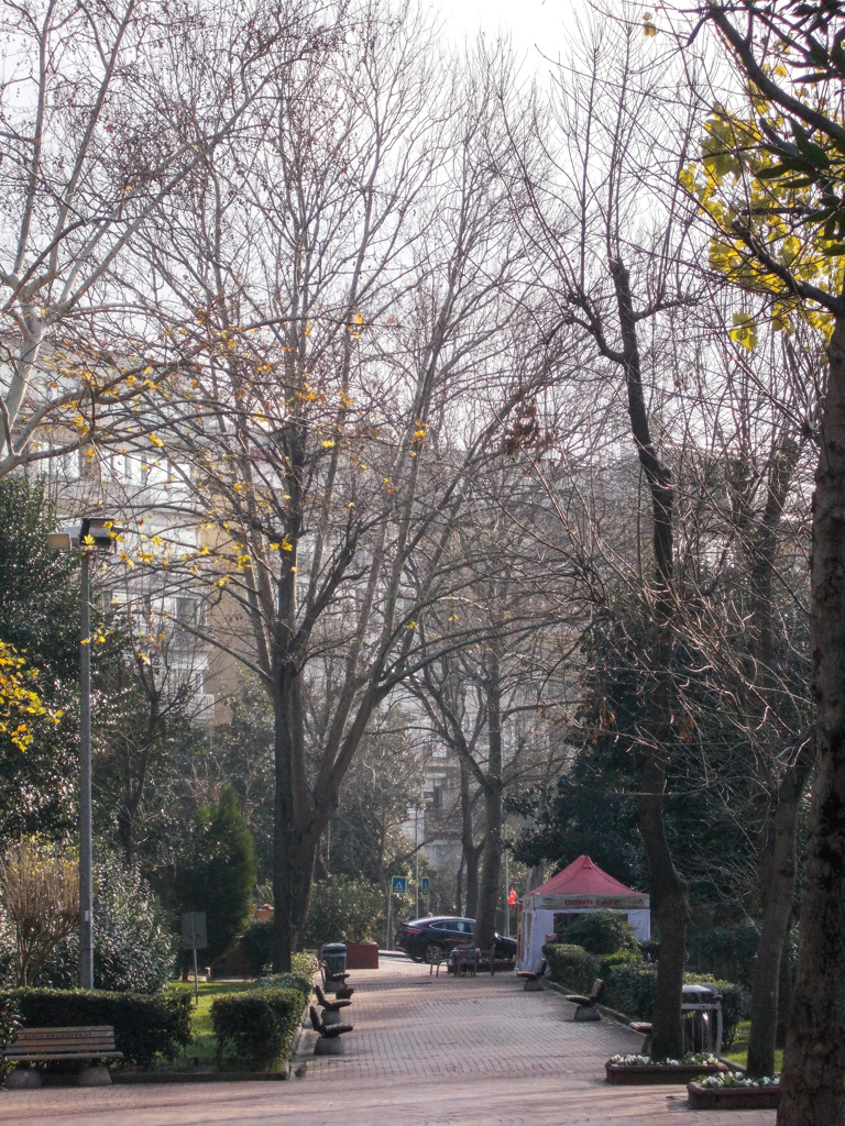 40数年何をしてきたのか…　a hazy shade of winter~