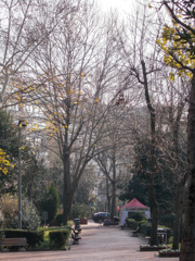 40数年何をしてきたのか…　a hazy shade of winter~