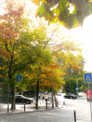 夏が終わりました…　