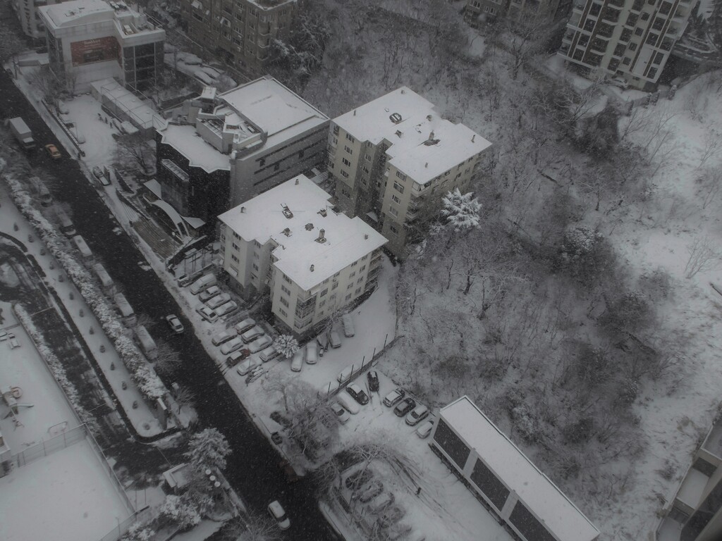 雪は降る＊＊＊　白い雪がただ降るばかり＊♪～