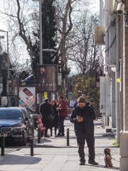 お父ちゃん　誰から？