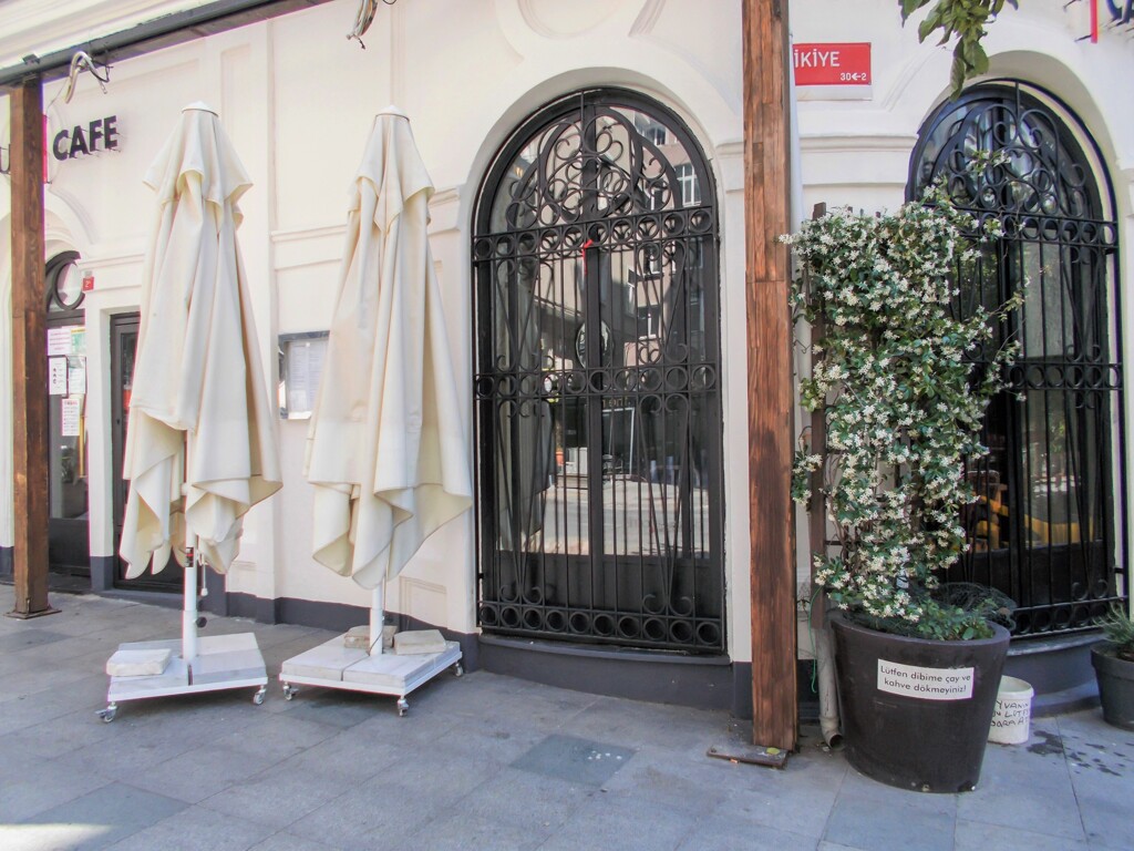 ジャスミン～❀❀