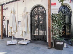 ジャスミン～❀❀