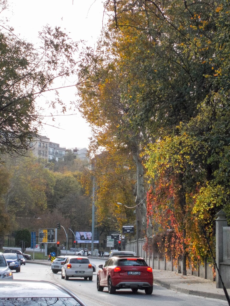 此処で生きて…生活して…