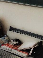 庭のベンチがお日様の中ならば…必ず…