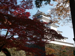 鶴ヶ城
