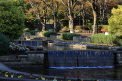 春日井市都市緑化植物園②