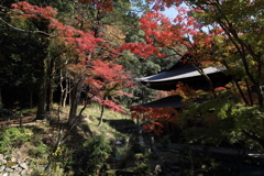定光寺②