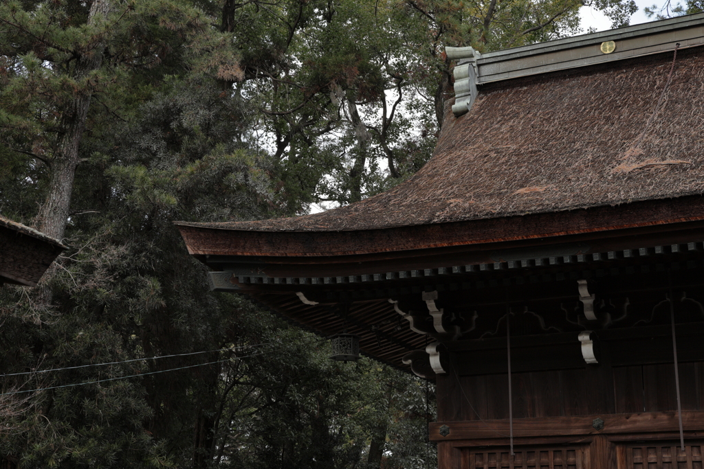 休日明けの神社