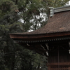 休日明けの神社