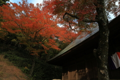 朱の主張①
