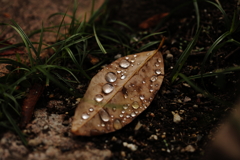時の重み、命の輝き