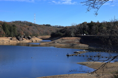 松野池