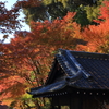 普門寺紅葉祭り③