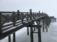 鶴の舞橋①