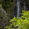 新緑の五宝滝⑥