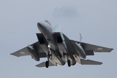 F１５