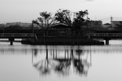 水鏡に佇む②
