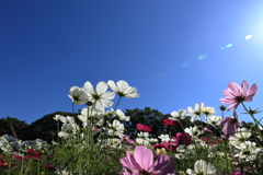 天高く