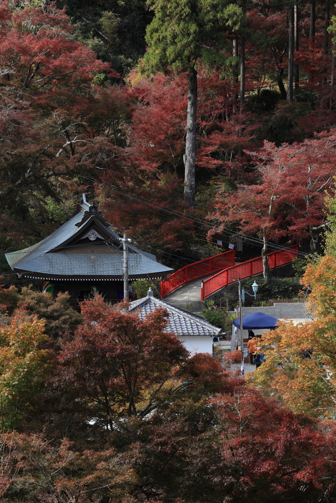 豊橋・普門寺を俯瞰する②