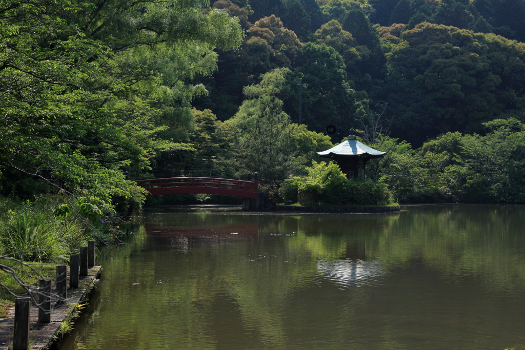 定光寺　無為殿①