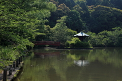 定光寺　無為殿①