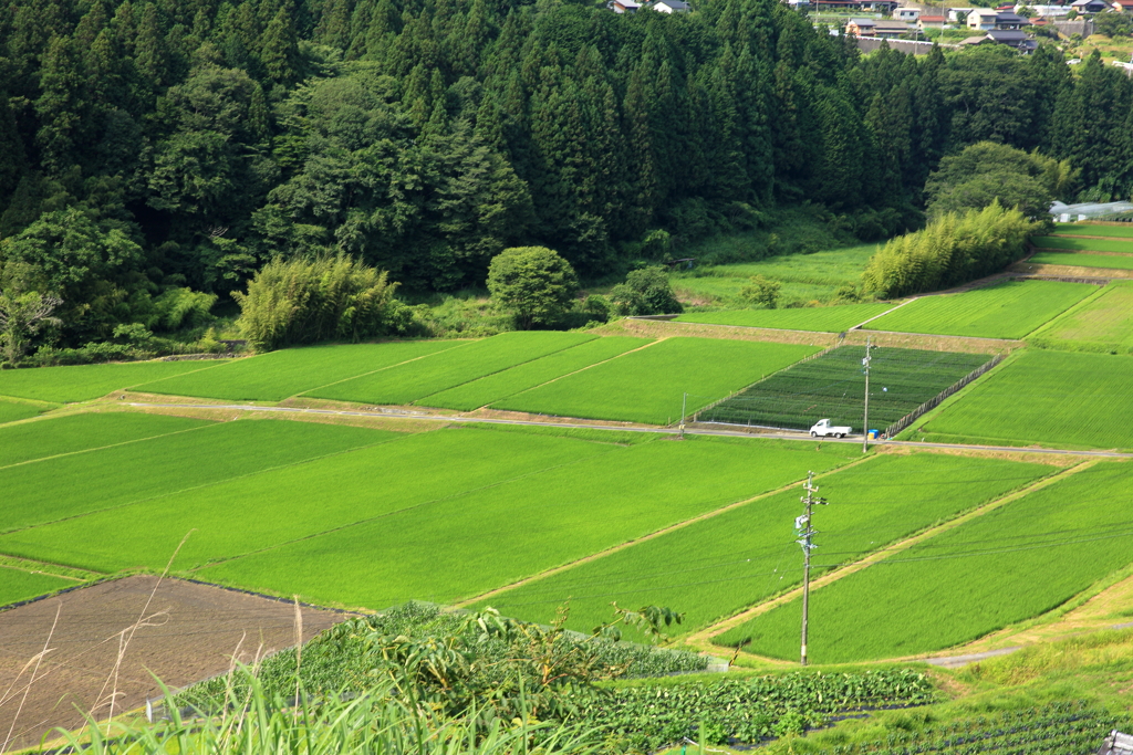 軽トラの似合う風景