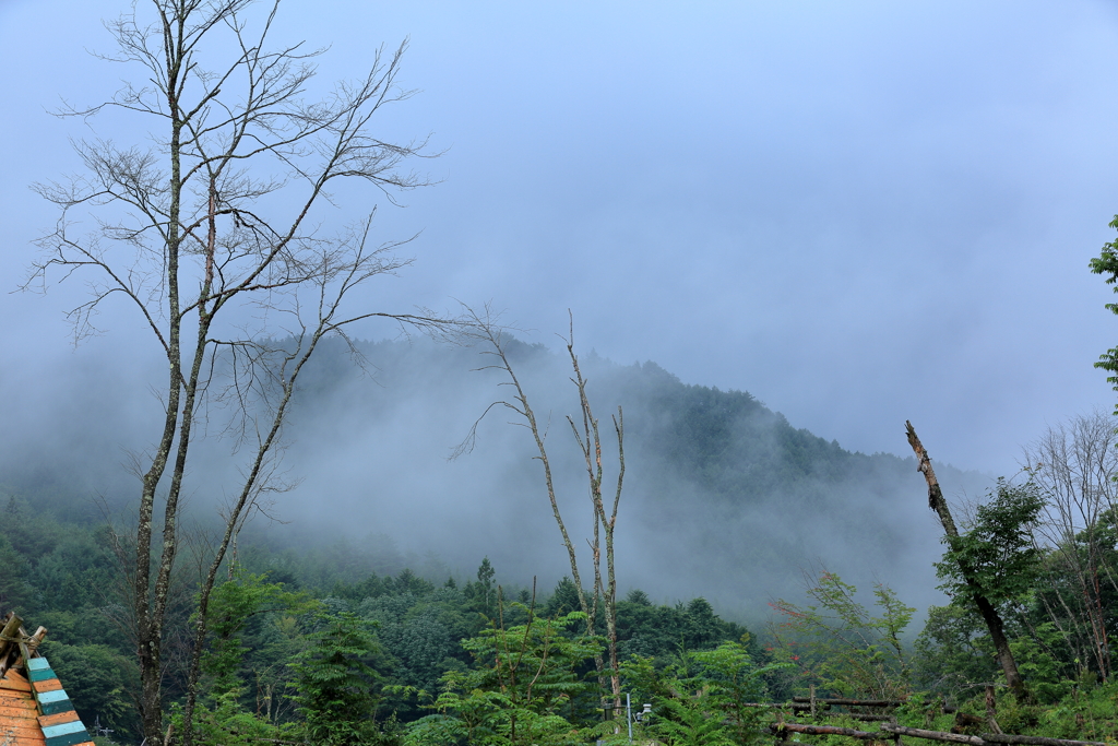 雨の根羽村①