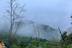 雨の根羽村①