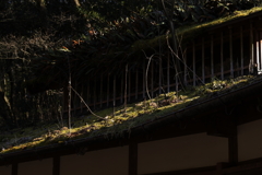 屋根、苔のむすままに ①