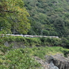 飛水峡へ行ってきた④