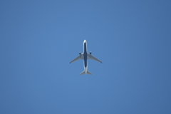 デルタ航空 777かな？