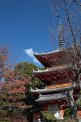 彩り始める三重の塔②