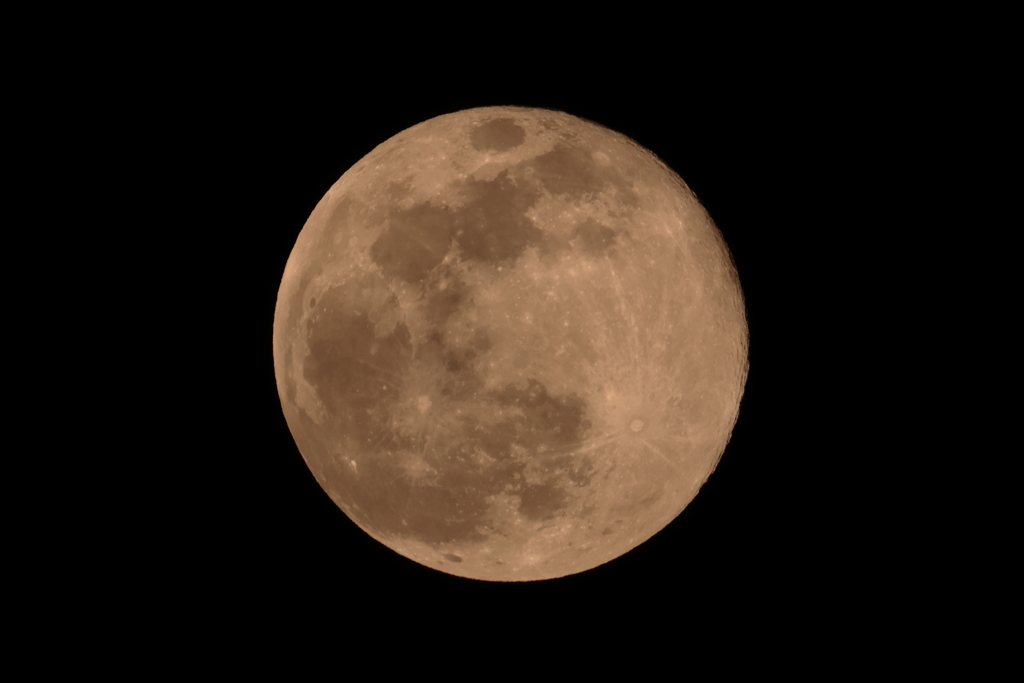 405,789km先のWolfMoon