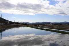 田圃に雲