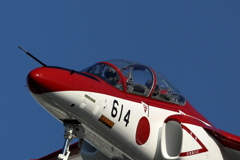 レッドドルフィン①