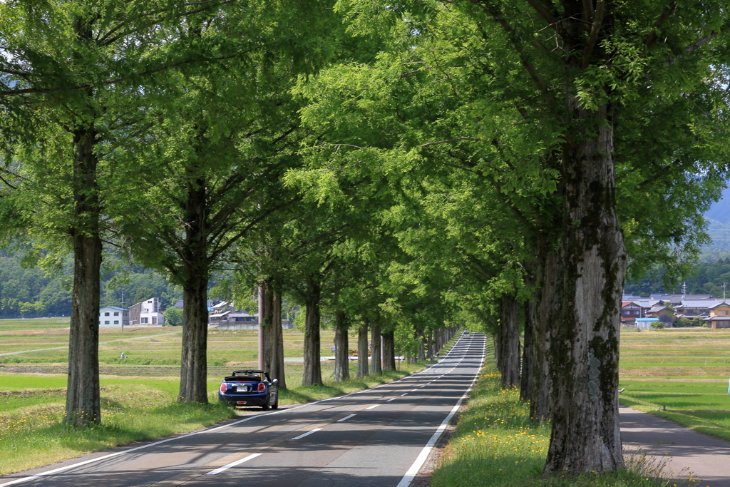 鍵盤のような道