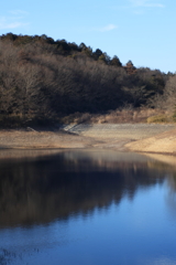 ３月の陽気に誘われて②