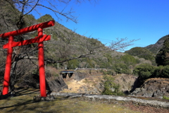 特急「ひだ」①
