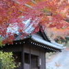 もみじ寺　普門寺④