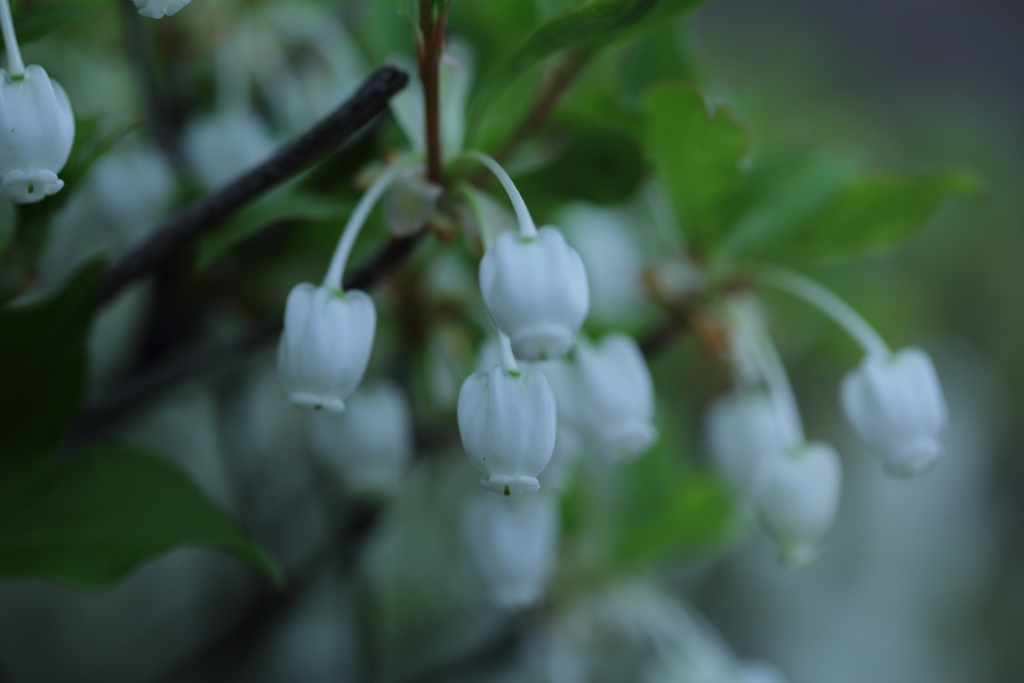 繊細さ