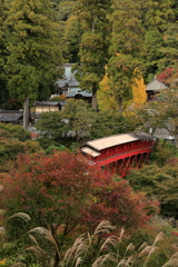 紅葉に染まる奥山方広寺