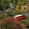 紅葉に染まる奥山方広寺