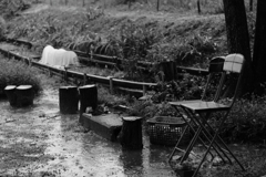 雨なので休みです