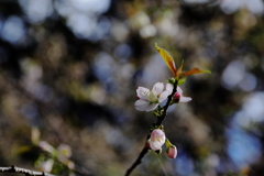 今が旬と②