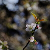 今が旬と②