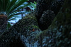 時の流れを纏う